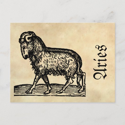 Middeleeuwse renaissance Zodiac Symbool Ram Briefkaart (Voorkant)