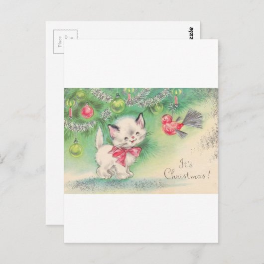 middelgrote Baby Puppy Kitten Briefkaart (Voorkant / Achterkant)