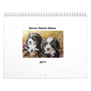 Middelgrote Berner Nation Babes 2017 kalender
