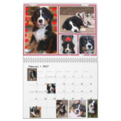 Middelgrote Berner Nation Babes 2017 kalender (Feb 2027)