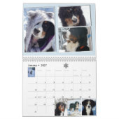Middelgrote Berner Nation Babes 2017 kalender (Jan 2027)
