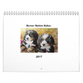 Middelgrote Berner Nation Babes 2017 kalender (Hoes)