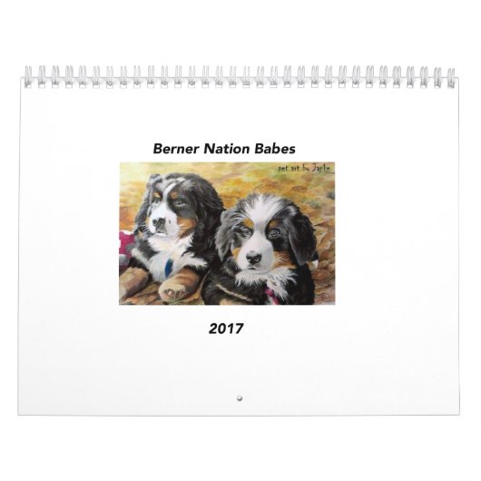 Middelgrote Berner Nation Babes 2017 kalender (Hoes)
