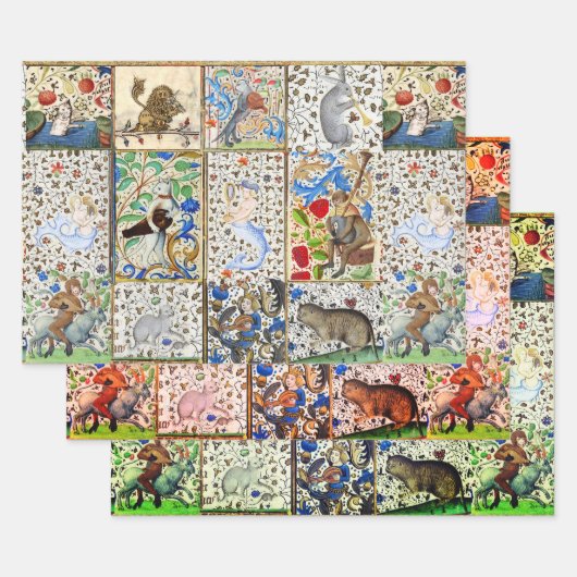 MIDDELGROTE BESTIJDIGE SPEELSTUKKEN INPAKPAPIER VEL (Set)