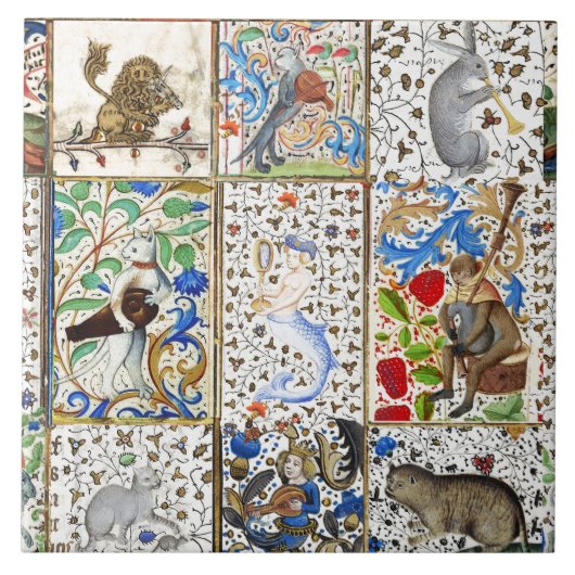 MIDDELGROTE BESTIJDIGE SPEELSTUKKEN TEGELTJE (Voorkant)