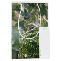 MIDDELGROTE Cadeaubag/TAG /NATUUR/#MMETROPOLIMdesi