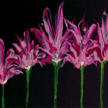 Middelgrote snijraad