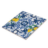 Middellandse-tegels, majolica, blauwe tegels, citr tegeltje (Zijkant)