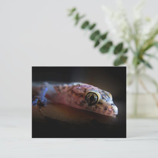 Middellandse Zee Gecko Lizard Briefkaart (Staand voorkant)