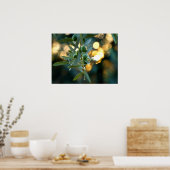 Middellandse-Zeegoud; olijven in de boomtak Poster (Keuken)