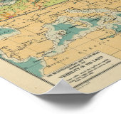 Middellandse-Zeekabels, zwarte-Zeeen, draadloze st Poster (Hoek)