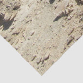 Middellandse-Zeelandschap Tissuepapier (Detail)