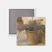 Middellandse-Zeepaardkornet Magneet (Voorkant / Achterkant)