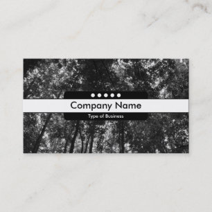 Middelste band 5 spots - Woodland Canopy 0 Visitekaartje