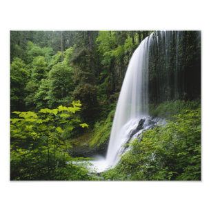 Middelste Noord-waterval, Silver Falls State Park, Foto Afdruk
