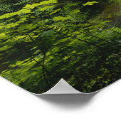 Middelste Noord-waterval, Silver Falls State Park, Poster (Hoek)