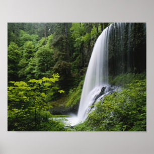 Middelste Noord-waterval, Silver Falls State Park, Poster