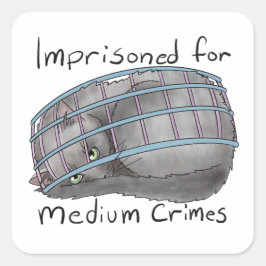 Middelzware misdrijven vierkante sticker