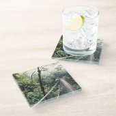 Midden-Amerika, Costa Rica, Monteverde Cloud Glazen Onderzetter (Schuin)