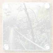 Midden-Amerika, Costa Rica, Monteverde Cloud Glazen Onderzetter (Achterkant)