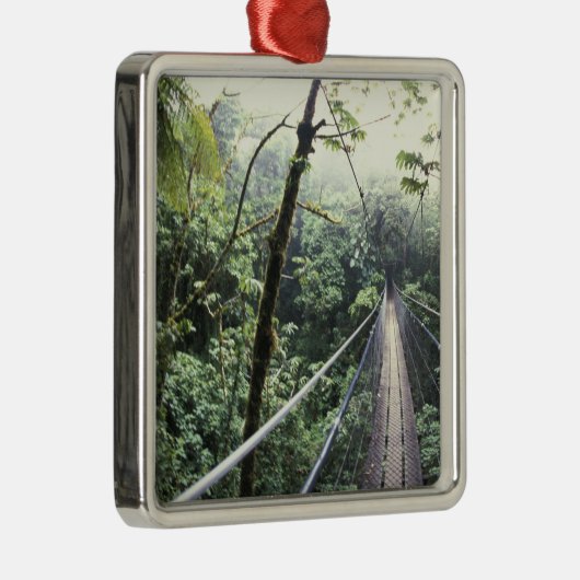 Midden-Amerika, Costa Rica, Monteverde Cloud Metalen Ornament (Rechts)