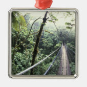 Midden-Amerika, Costa Rica, Monteverde Cloud Metalen Ornament (Voorkant)
