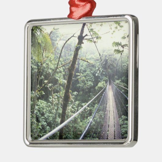 Midden-Amerika, Costa Rica, Monteverde Cloud Metalen Ornament (Links)