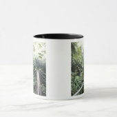 Midden-Amerika, Costa Rica, Monteverde Cloud Mok (Midden)