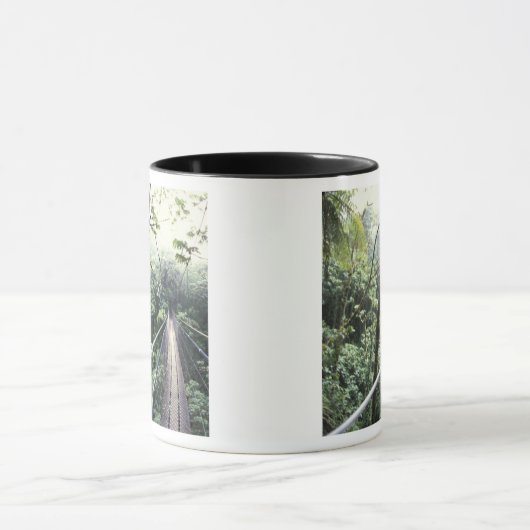 Midden-Amerika, Costa Rica, Monteverde Cloud Mok (Midden)