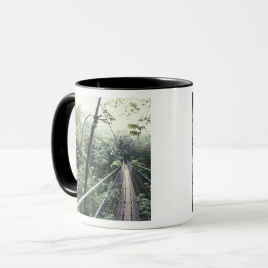 Midden-Amerika, Costa Rica, Monteverde Cloud Mok (Voorkant links)