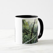 Midden-Amerika, Costa Rica, Monteverde Cloud Mok (Voorkant rechts)