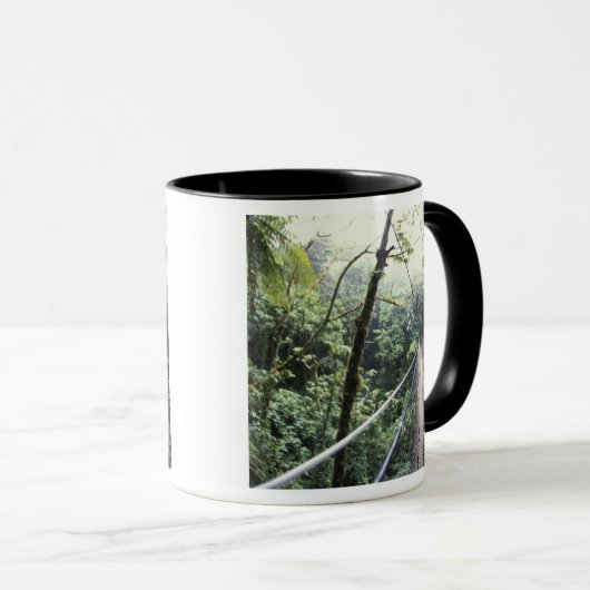 Midden-Amerika, Costa Rica, Monteverde Cloud Mok (Voorkant rechts)