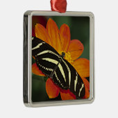 Midden-Amerika, Costa Rica, Selva Verde Metalen Ornament (Rechts)