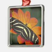 Midden-Amerika, Costa Rica, Selva Verde Metalen Ornament (Links)