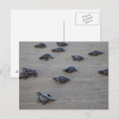 Midden-Amerika, El Salvador, Stille Oceaan Briefkaart (Voorkant / Achterkant)