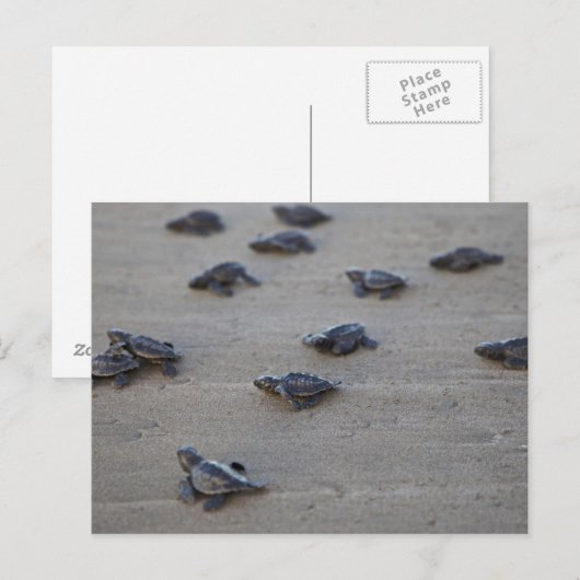 Midden-Amerika, El Salvador, Stille Oceaan Briefkaart (Voorkant / Achterkant)