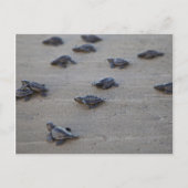 Midden-Amerika, El Salvador, Stille Oceaan Briefkaart (Voorkant)