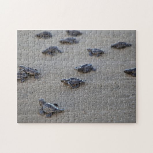 Midden-Amerika, El Salvador, Stille Oceaan Legpuzzel (Horizontaal)