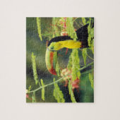 Midden-Amerika, Honduras. Keel-naveltoucan Legpuzzel (Verticaal)