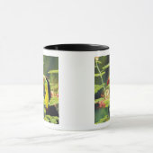 Midden-Amerika, Honduras. Keel-naveltoucan Mok (Midden)