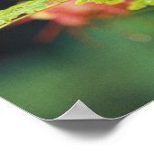 Midden-Amerika, Honduras. Keel-naveltoucan Poster (Hoek)