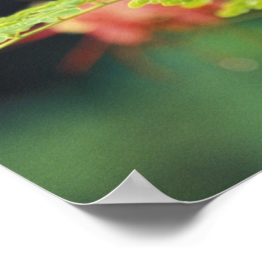 Midden-Amerika, Honduras. Keel-naveltoucan Poster (Hoek)