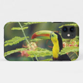 Midden-Amerika, Honduras. Roodsnaveltoekan Case-Mate iPhone Case (Achterkant (horizontaal))