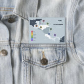 Midden-Amerika Kaart Button (Insitu)