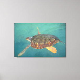 Midden-Amerika, Panama, Bocas Del Torro Canvas Afdruk