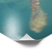 Midden-Amerika, Panama, Bocas Del Torro Foto Afdruk (Hoek)