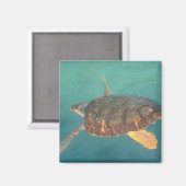 Midden-Amerika, Panama, Bocas Del Torro Magneet (Voorkant / Achterkant)