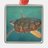 Midden-Amerika, Panama, Bocas Del Torro Metalen Ornament (Voorkant)