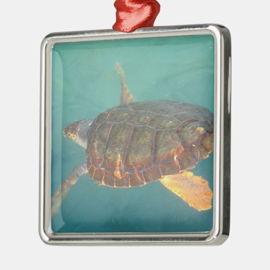 Midden-Amerika, Panama, Bocas Del Torro Metalen Ornament (Links)