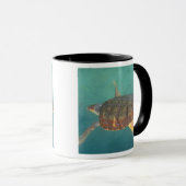 Midden-Amerika, Panama, Bocas Del Torro Mok (Voorkant rechts)